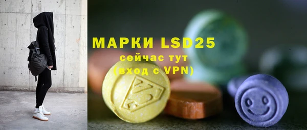 хмурый Михайловск